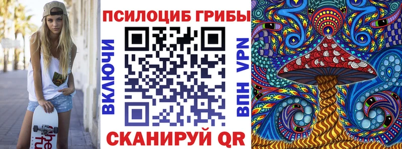 ОМГ ОМГ как войти  Кашин  Галлюциногенные грибы Magic Shrooms 